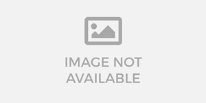 Điều khoản chung